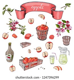 Hand drawn colored  sketch of different objects, pink malus flowers, red apples, basket, bottle and tape on white  background. Vector illustration.