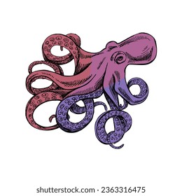 Hand drawn colored sketch of octopus. Vector aquatic monochrome  illustration isolated on white background.	