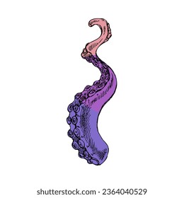 Hand drawn colored sketch of octopus tentacle. Vector aquatic monochrome  illustration isolated on white background.	