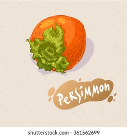 Hand drawn colored sketch of persimmon on paper textured background. Vector vintage line art illustration of fruit for your design. Drawing of natural food. 
