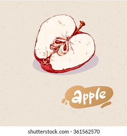 Hand drawn colored sketch of red apple on paper textured background. Vector vintage line art illustration of fruit for your design. Drawing of natural food. 
