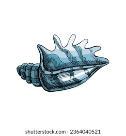 Hand drawn colored sketch of seashell, clam, conch. Scallop sea shell, sketch style vector illustration isolated on white background.	