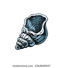Hand drawn colored sketch of seashell, clam, conch. Scallop sea shell, sketch style vector illustration isolated on white background.	
