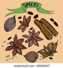 Hand drawn colored spices sketch set with cinnamon, cardamom, coffee beans and nut megs on salmon color background. 