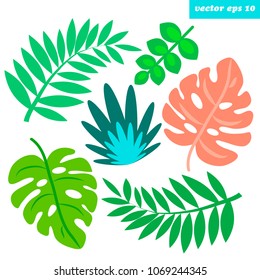 Hand drawn colored tropical branches and leaves set. Spring or summer simple decorative elements for your designs. Vector isolated objects.