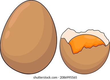 Hand drawn colored vector eggs. Scrambled, omelet, farm eggs. Drawing ingredients, rustic vector illustration