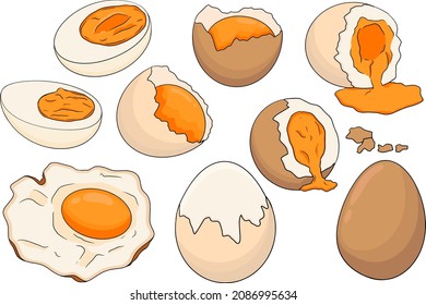 Hand drawn colored vector eggs. Scrambled, omelet, farm eggs. Drawing ingredients, rustic vector illustration