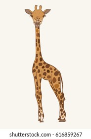 Hand drawn colored vector giraffe isolated on white background.