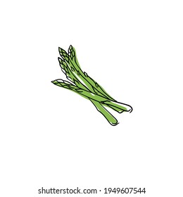 Hand drawn colored vector illustration of vegetable, eggplant, bell pepper, asparagus on white background