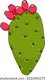 Desenhado à mão, colorido, vetor Opuntia fruta, espinhoso cactus de pera, figos indianos, cactos comestíveis em fundo branco.