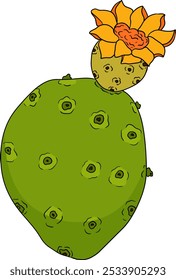 Desenhado à mão, colorido, vetor Opuntia fruta, espinhoso cactus de pera, figos indianos, cactos comestíveis em fundo branco.