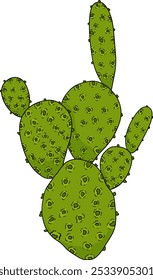 Desenhado à mão, colorido, vetor Opuntia fruta, espinhoso cactus de pera, figos indianos, cactos comestíveis em fundo branco.