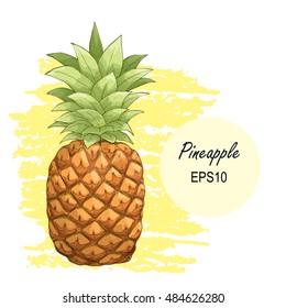 Hand drawn colored vector pineapple isolated on white. Image for design cards, invitations, flyers, Wallpapers, booklets, posters, recipes. EPS10. Hand drawn yellow background texture.