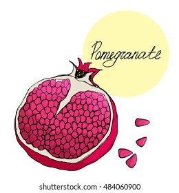 Hand drawn colored vector pomegranate and seeds isolated on white. Image for design cards, invitations, flyers, Wallpapers, booklets, posters, recipes. EPS10. 
