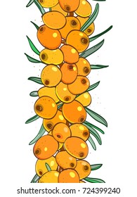 Hand drawn colored vertical berry border. Sea buckthorn border isolated on white background. 