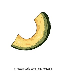 Hand drawn colorful avocado piece isolated on white background. Art vector illustration.