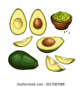 Hand drawn colorful avocado. Set sketches with cut avocado and avocado sauce guacamole. Vector illustration isolated on white background.