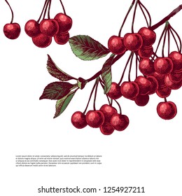 Hand drawn colorful background with cherry branches. Vector illustration