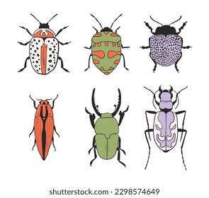 Handgezeichneter bunter Bug-Set