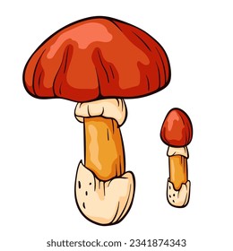 Hand drawn colorful caesars mushroom. Amanita caesarea in line art style. Vector illustration isolated on a white background.