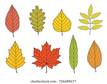 hand drawn colorful cartoon autumn leaves and branches set