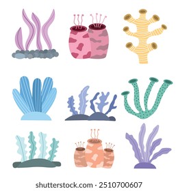 Hand drawn colorful coral, reef, sea plant, and seaweed collection.  Suitable for flat design graphic illustration, clip art, stickers, etc