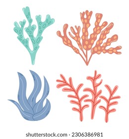 Hand drawn colorful coral and seaweed collection. Modern flat illustration.