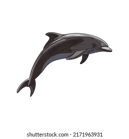 Hand drawn colorful dolphin sketch style, vector illustration isolated on white background. Marine mammal, cute engraved wild sea animal, design element