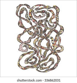 Hand drawn colorful Doodle Worms. Biology vector Illustration