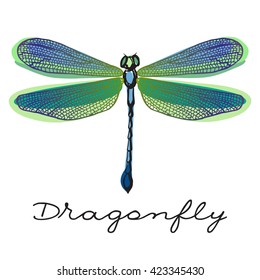 Hand Drawn Colorful  Dragonfly With Doodle Drawn Wings