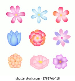 Hand drawn colorful fashion abstract flowers group vector illustration, spring summer natural plants on white background, invitation, wedding decoration pattern, textile, wallpaper