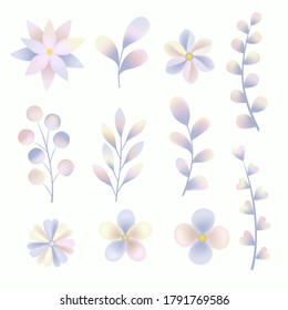 Hand drawn colorful fashion abstract flowers and leaves group vector illustration, spring summer natural planting on white background, invitation, wedding decoration pattern, textile