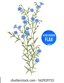 Hand drawn colorful flax flowers - vector illustration