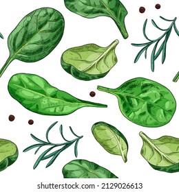Hand drawn colorful fresh spinach leaves. Spinach and rosemary background. Vector seamless pattern.