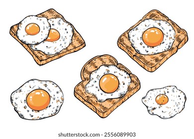 Hand drawn colorful Fried eggs and breads vector illustration