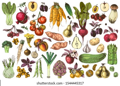 Hand drawn colorful fruits and vegetables set. 51 unique element. Vector illustration in retro style.