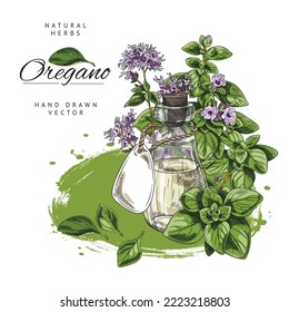 Hand drawn colorful glass bottle with oregano essential oil sketch style, vector illustration isolated on white background. Natural herbs, green leaves and purple flowers, decorative design element