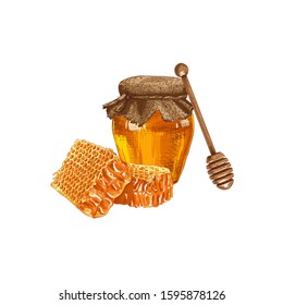 Hand drawn colorful honey jar, honey comb and wooden honey dipper isolated on white background. Vector illustration.