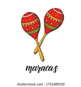 Hand drawn colorful illustration of maracas in sketch style. Vector vintage illustration isolated on white.