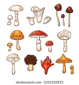 Handgezeichnete farbenprächtige Pilzkollektion im Cartoon-Stil. Fly Agaric, Herbst Schädelkappe, Deadly Webcap, False Morel, Gift Feuerkorallen. Vektorgrafik einzeln auf weißem Hintergrund.