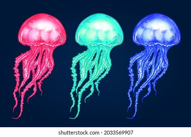 Hand drawn colorful jellyfish set isolated vector illustration. Sea creature with long nettles art. Underwater life animal.