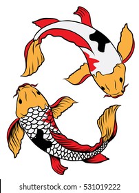 Hand drawn colorful Koi fish tattoo ,isolate on white background and Japanese style