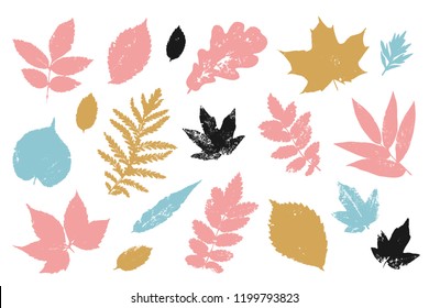Hand drawn colorful leaves elements set. Autumn leaf shape background.