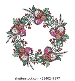 Hand drawn colorful line art tropical protea flower round frame. Floral wreath greeting card template