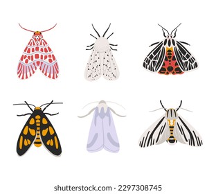 Hand drawn colorful moths set