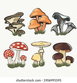 Hand drawn colorful mushrooms collection. Large Mushroom set of vector illustrations in flat design isolated on white.