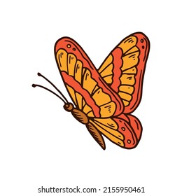 Hand drawn colorful orange butterfly. Vector illustration