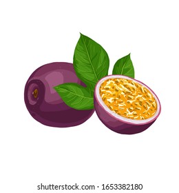 Hand drawn colorful passion fruit. Set sketches with cut passion fruit and leaf. Vector illustration isolated on white background.