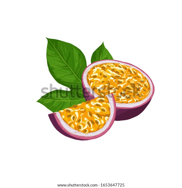 Hand Drawn Colorful Passion Fruit Set Stock Vector Royalty Free