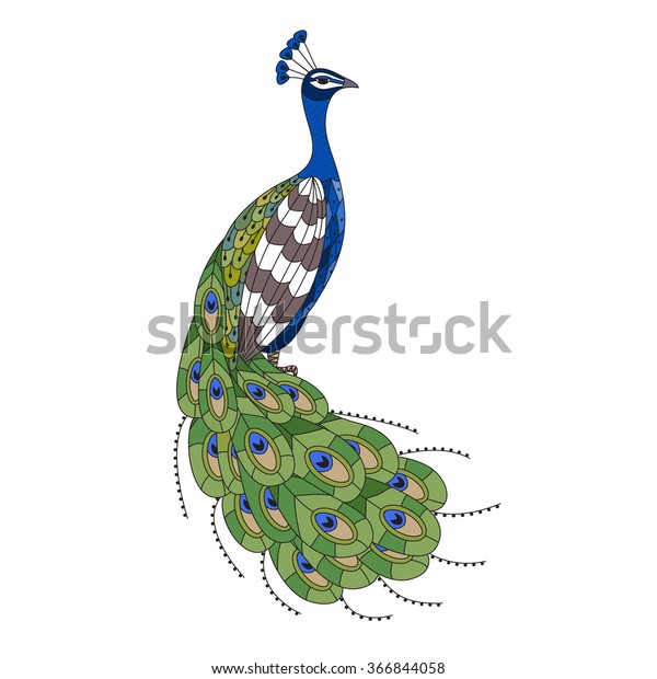 Hand Drawn Colorful Peacock Illustration Zentangle Stock Vector ...